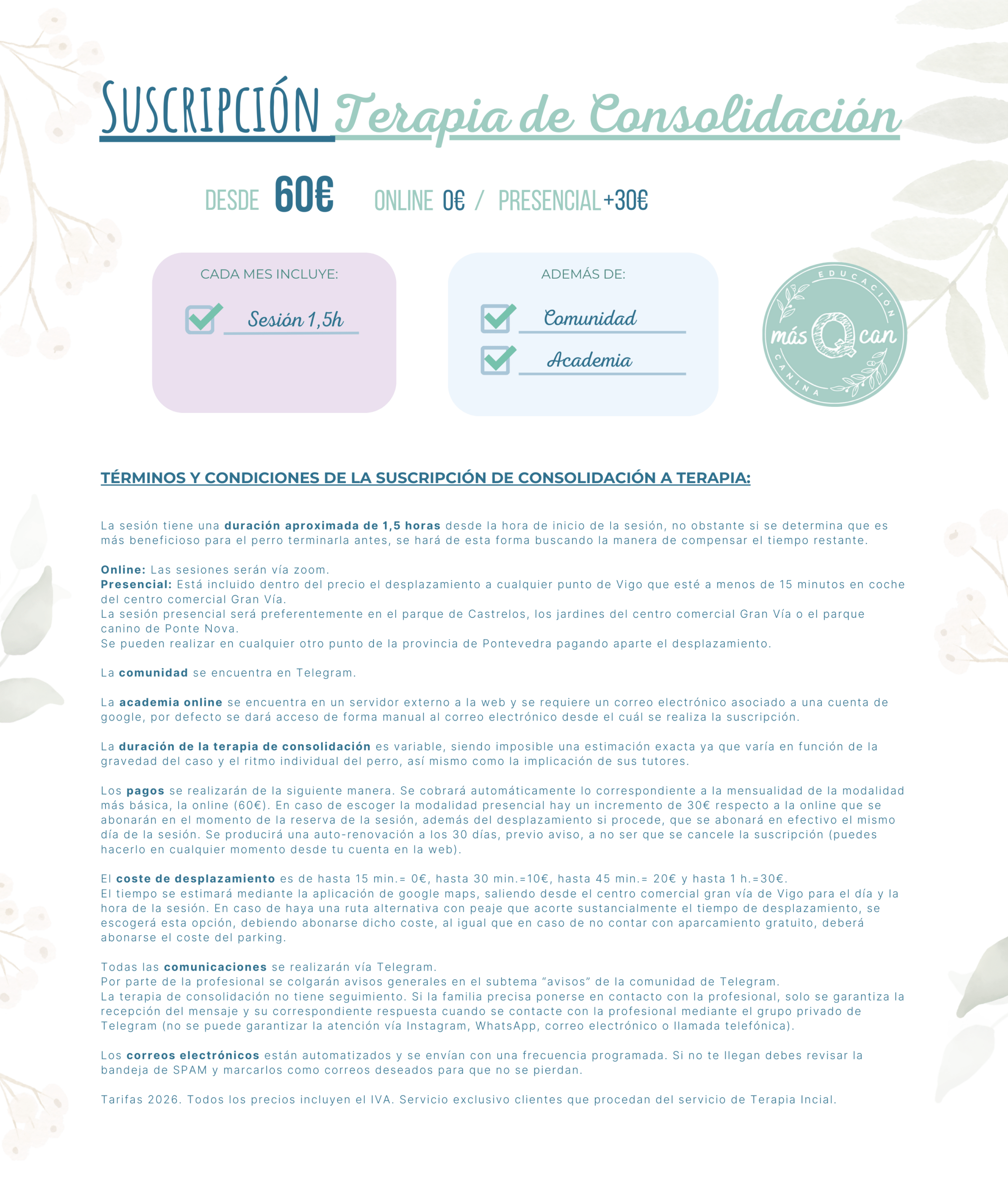 Infografía Terapia de consolidación