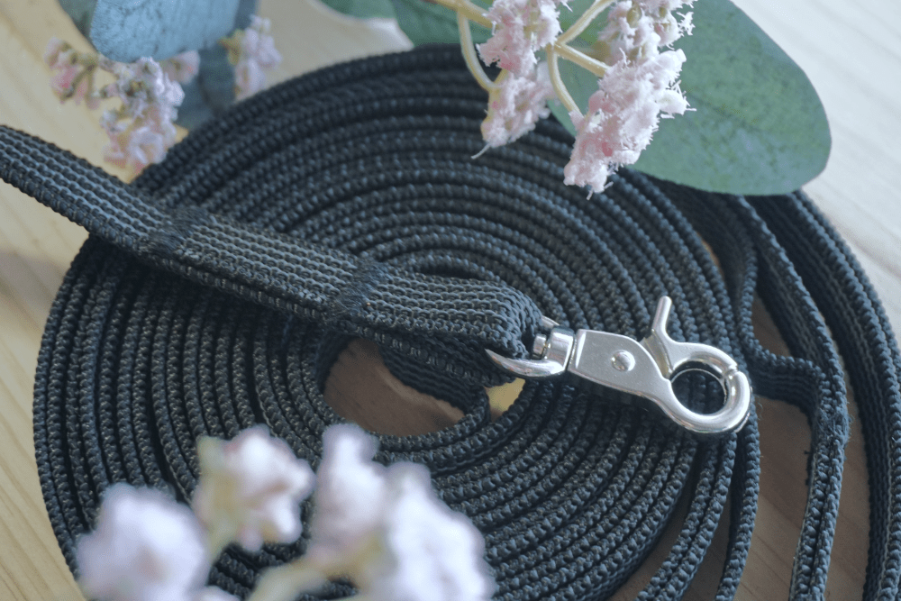 Correa con mosquetón de pinza mini Correa Textil Engomada de 15mm con mosquetón de pinza mini de MásQcan tienda o MQC Pet Atelier