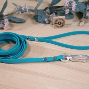 Correa de PVC Hexa de 10mm en color jade, mosquetón Top, impermeable, para perros pequeños y minis, MásQcan Tienda o MQC Pet Atelier