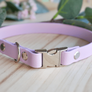 Collar metálico a medida en color Lila y material biothane de 16mm, cierre metálico de MQC Tienda o MQC Pet Atelier