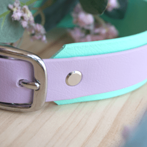 Collar en color Lila y protector de 38mm en color Menta hebilla inoxidable regulable impermeable de biothane para perros extremadamente fuertes MásQcan Tienda o MQC Pet atelier