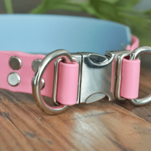 Collar en color Rosa, con doble argolla y 4 remaches por unión y protector de 38mm en color Azul Grisáceo collar impermeable de biothane para perros extremadamente fuertes MásQcan Tienda o MQC Pet atelier