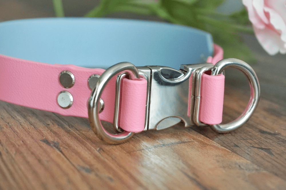 Collar en color Rosa, con doble argolla y 4 remaches por unión y protector de 38mm en color Azul Grisáceo Collar en color Rosa, con doble argolla y 4 remaches por unión y protector de 38mm en color Azul Grisáceo collar impermeable de biothane para perros extremadamente fuertes MásQcan Tienda o MQC Pet atelier