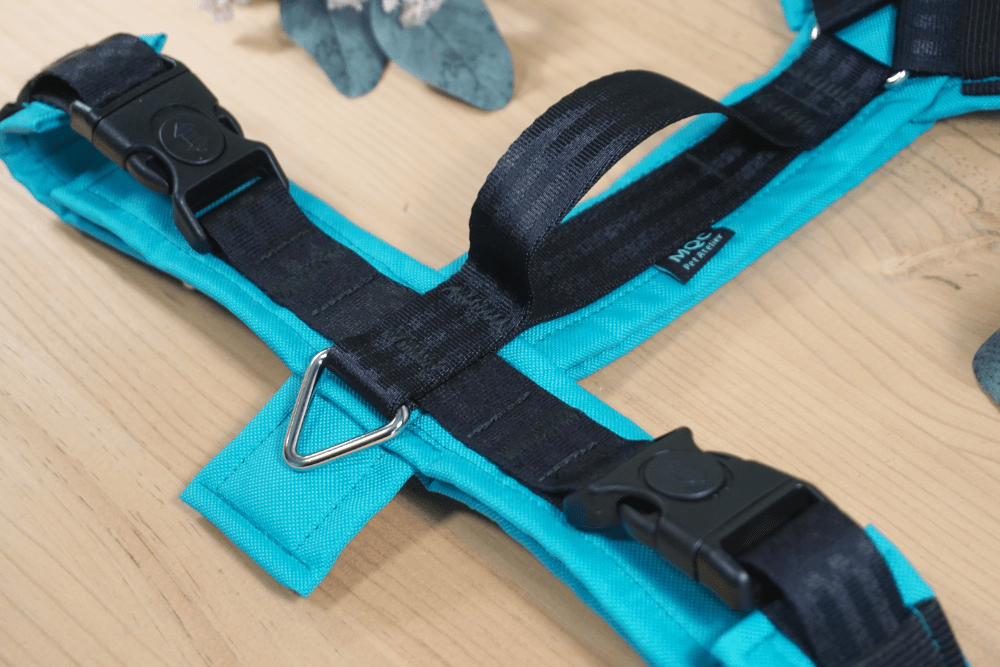 Detalle del asa longitudinal Arnés con acolchado completo en color Turquesa del Bosque, asa longitudinal y reguladoras metálicas arnés extra resistente de nylon 1000kg de carga de rotura de MásQcan tienda o MQC Pet Atelier