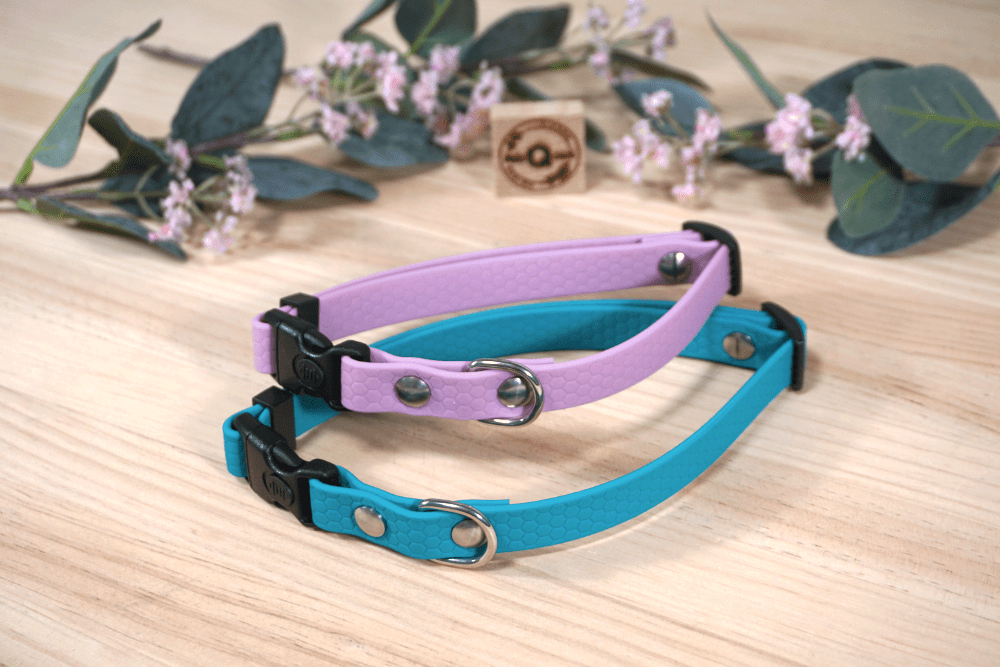 Collares en PVC Hexa, color Jade y Lavanda con remaches roscados Collares en PVC Hexa, color Jade y Lavanda con remaches roscados inoxidables, collar a media impermeable. MásQcan Tienda y MQC Pet Atelier.