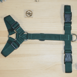 Arnés color Verde Bosque, con esternón regulable y piquete en forma de "D" arnés anatómico en forma de Y o de H, inoxidable. MásQcan Tienda MQC Pet Atelier